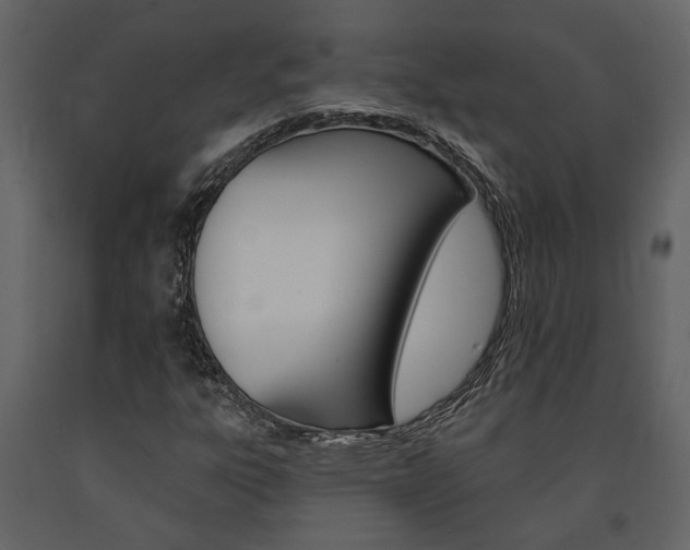 X0000091671303200708231004