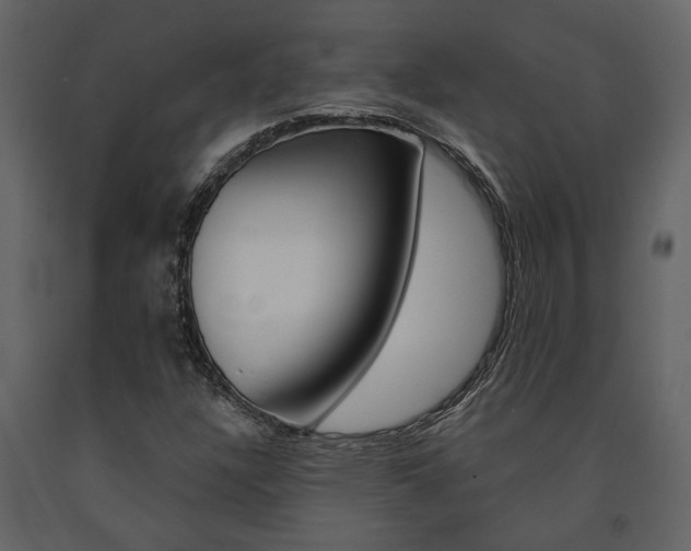 X0000091671304200708231004