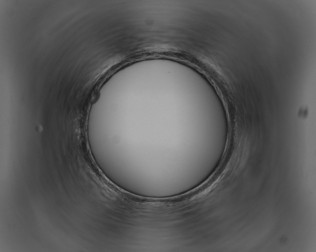 X0000091671305200708231004
