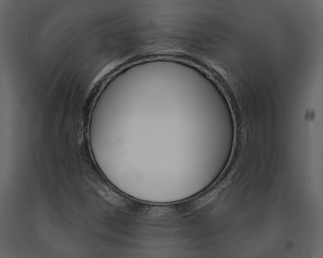 X0000091671306200708231004