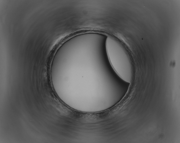 X0000091671307200708231004