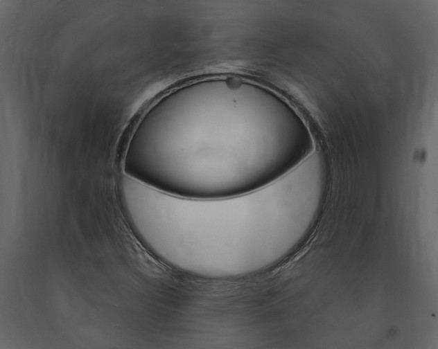X0000091671308200708231004