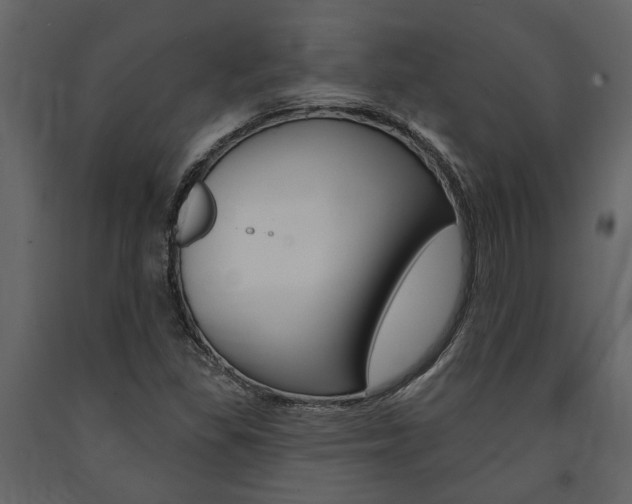 X0000091671309200708231004