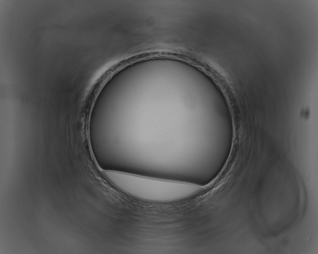 X0000091671310200708231004