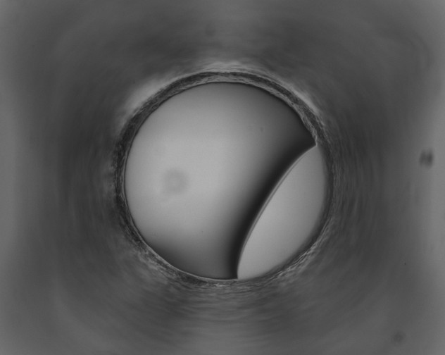 X0000091671311200708231004
