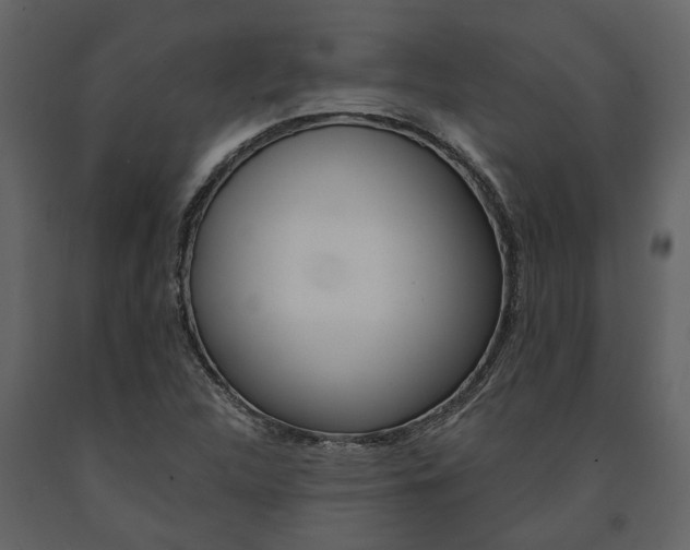 X0000091671312200708231004