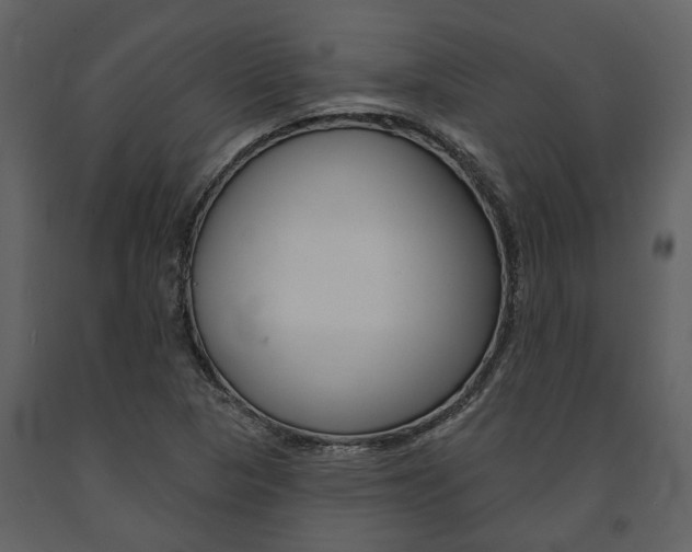 X0000091671313200708231004