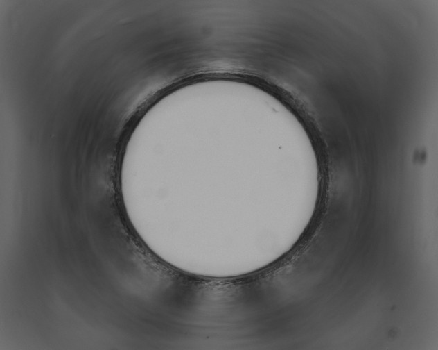 X0000091671314200708231005