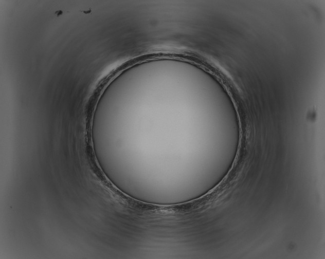 X0000091671315200708231005