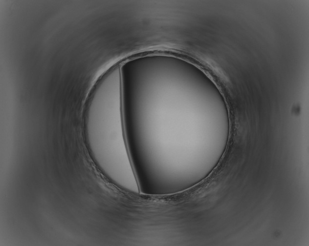 X0000091671316200708231005