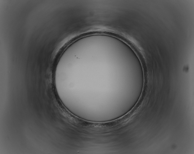 X0000091671318200708231005