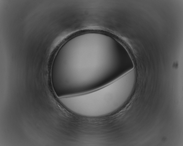 X0000091671319200708231005