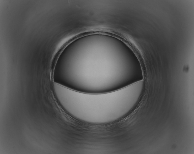 X0000091671320200708231005