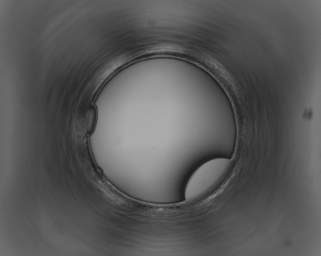 X0000091671321200708231005