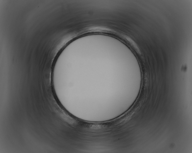 X0000091671322200708231005