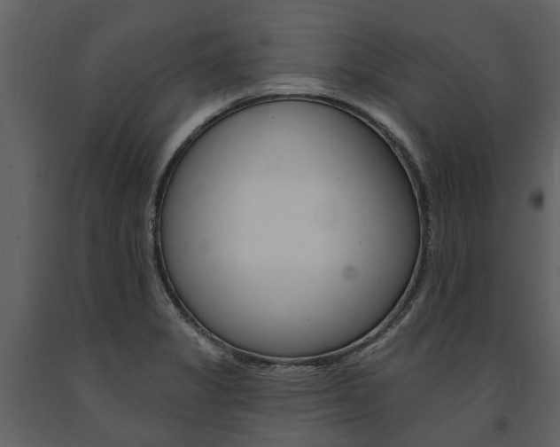 X0000091671325200708231005