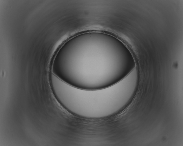 X0000091671326200708231005