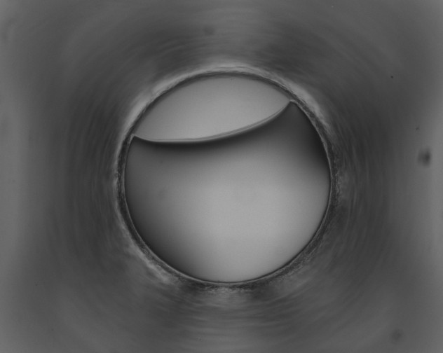 X0000091671327200708231005