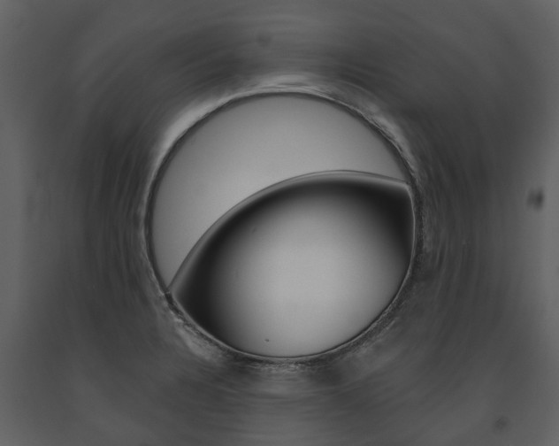 X0000091671328200708231005