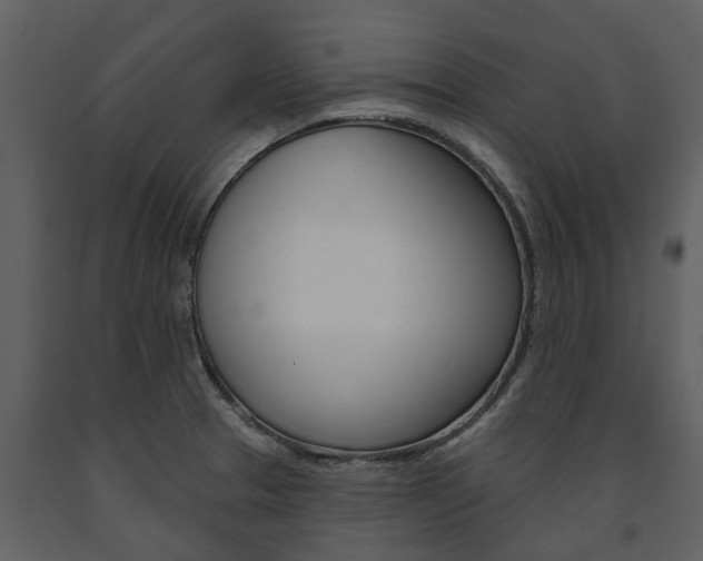 X0000091671329200708231005