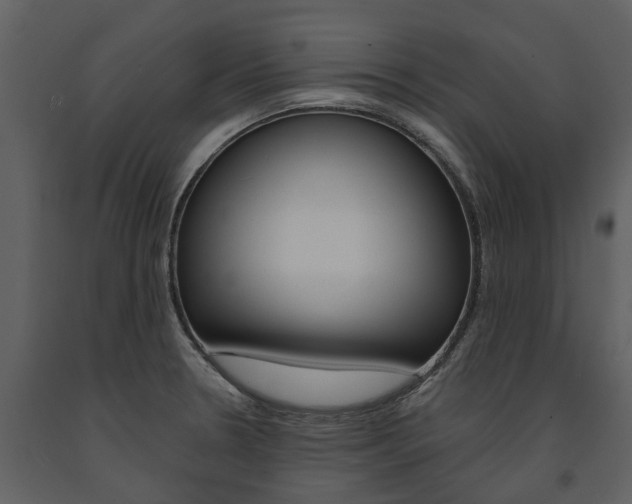 X0000091671330200708231005