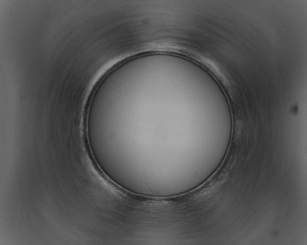 X0000091671331200708231005