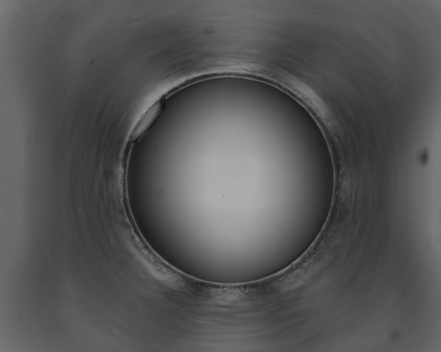 X0000091671332200708231005