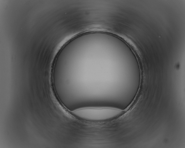 X0000091671333200708231005