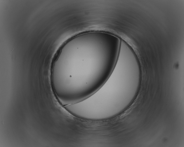 X0000091671334200708231005