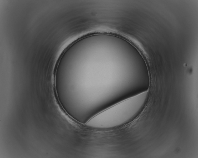 X0000091671335200708231005