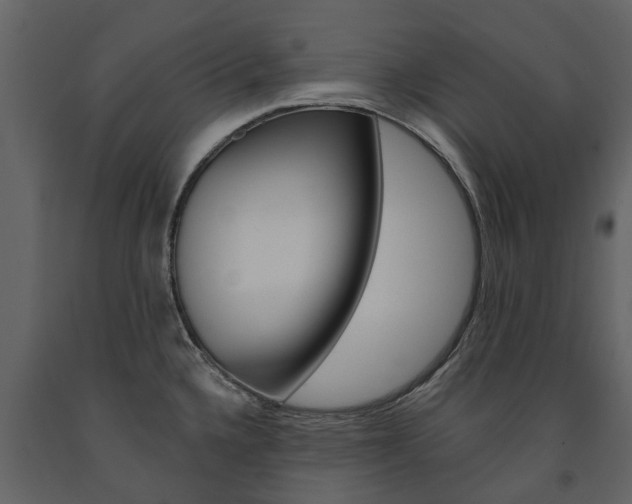 X0000091671336200708231005