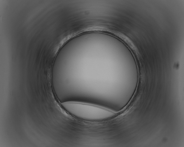 X0000091671337200708231005