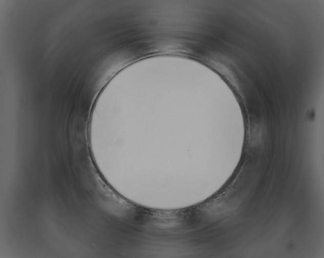 X0000091671338200708231005