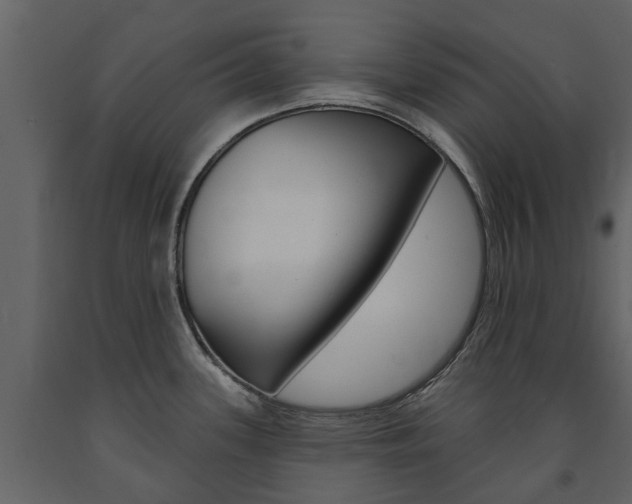 X0000091671339200708231005