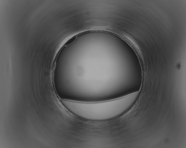 X0000091671340200708231005