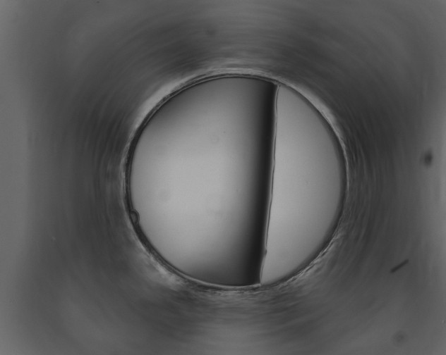 X0000091671341200708231005