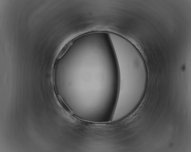 X0000091671342200708231005