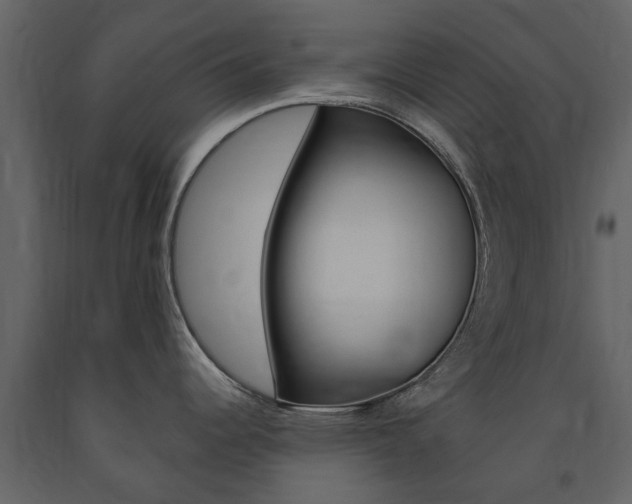 X0000091671344200708231005