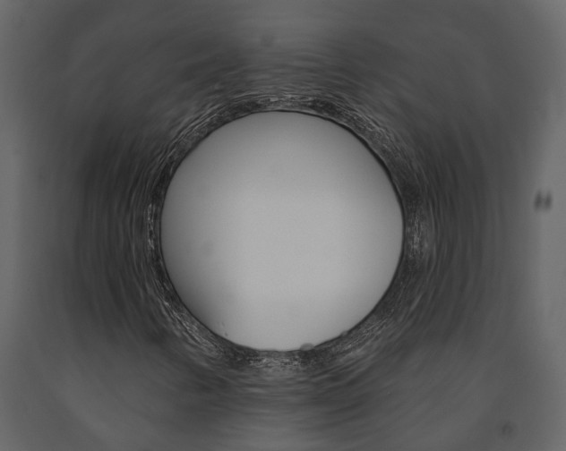X0000091671346200708231004