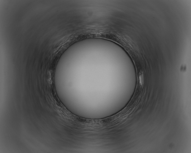 X0000091671347200708231004