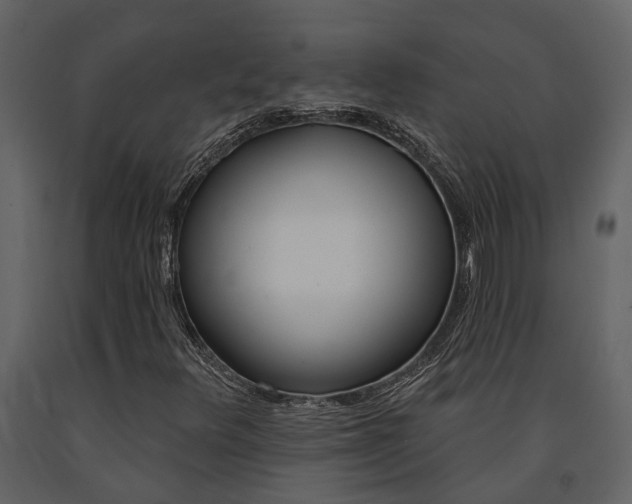 X0000091671348200708231004