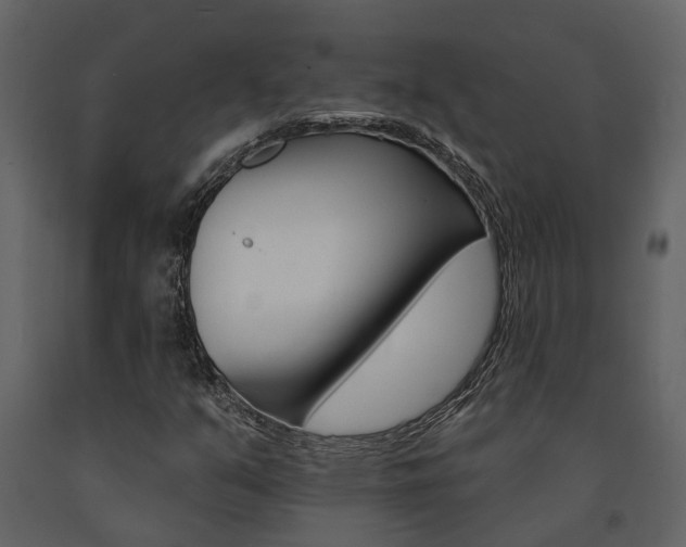 X0000091671351200708231004