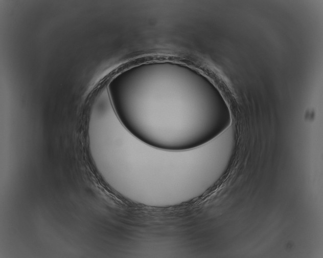 X0000091671352200708231004