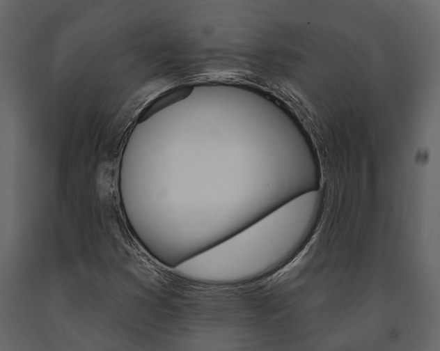 X0000091671353200708231004