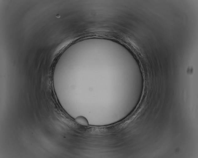 X0000091671354200708231004