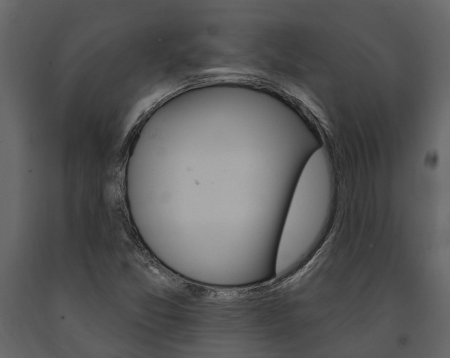 X0000091671357200708231004
