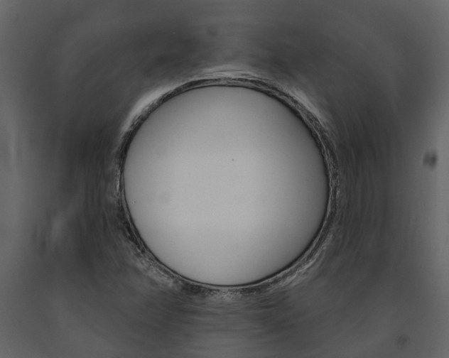 X0000091671358200708231004