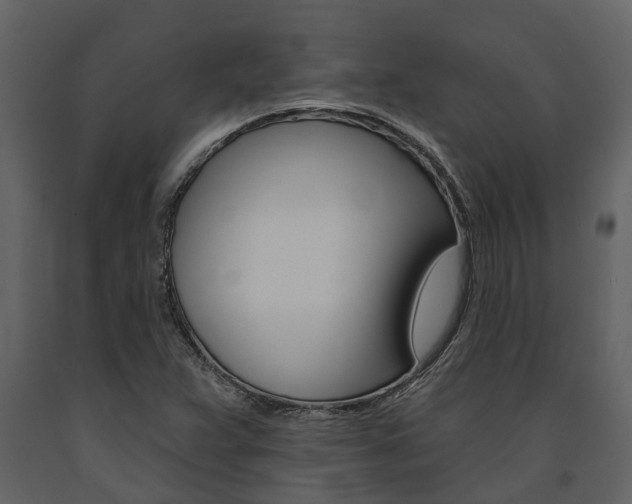 X0000091671359200708231004