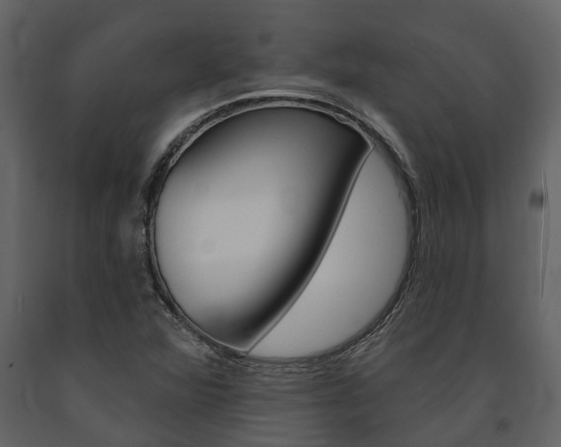 X0000091671360200708231004