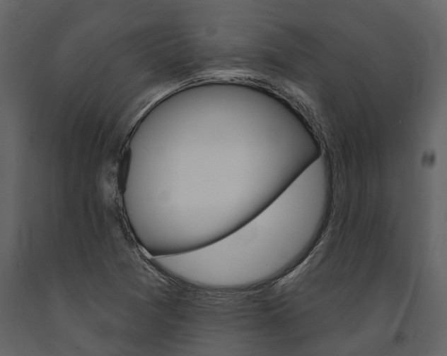 X0000091671361200708231004